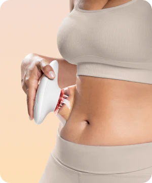 Stomach